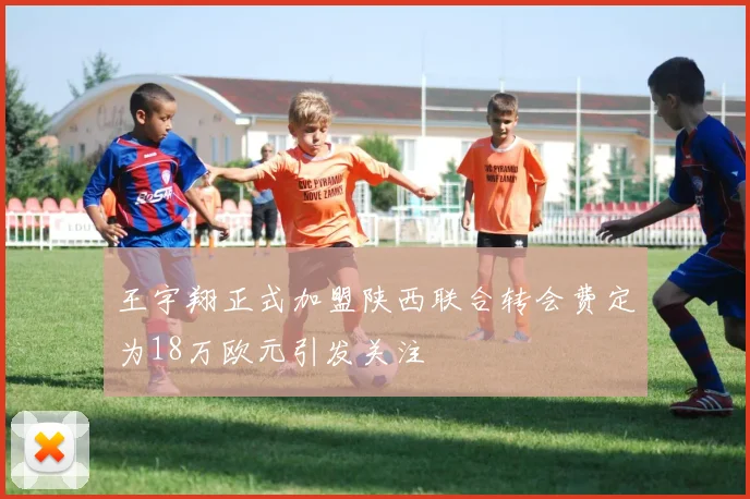 王宇翔正式加盟陕西联合转会费定为18万欧元引发关注