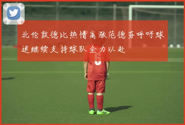 北伦敦德比热情高涨范德芬呼吁球迷继续支持球队全力以赴