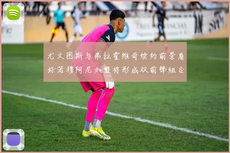 尤文图斯与弗拉霍维奇续约前景看好若穆阿尼加盟将形成双前锋组合