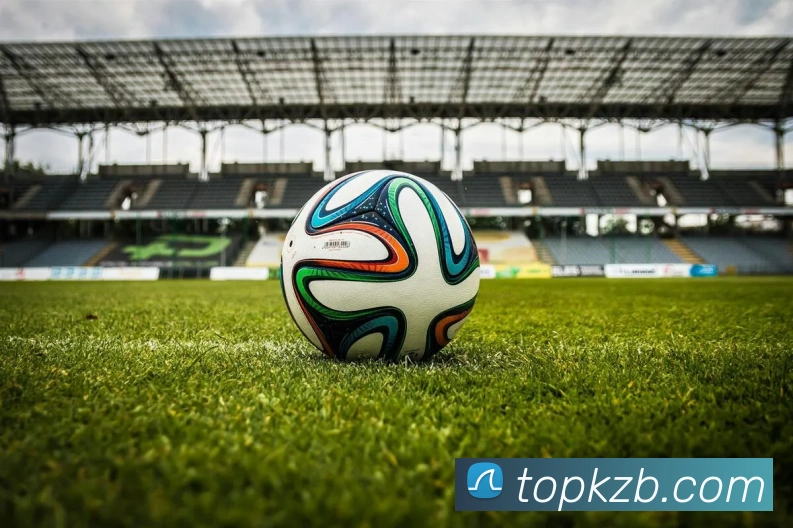 App Interface Preview